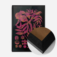 Vintage Walnut Botanical Black Print