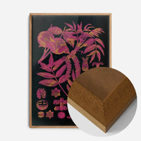 Vintage Walnut Botanical Black Print