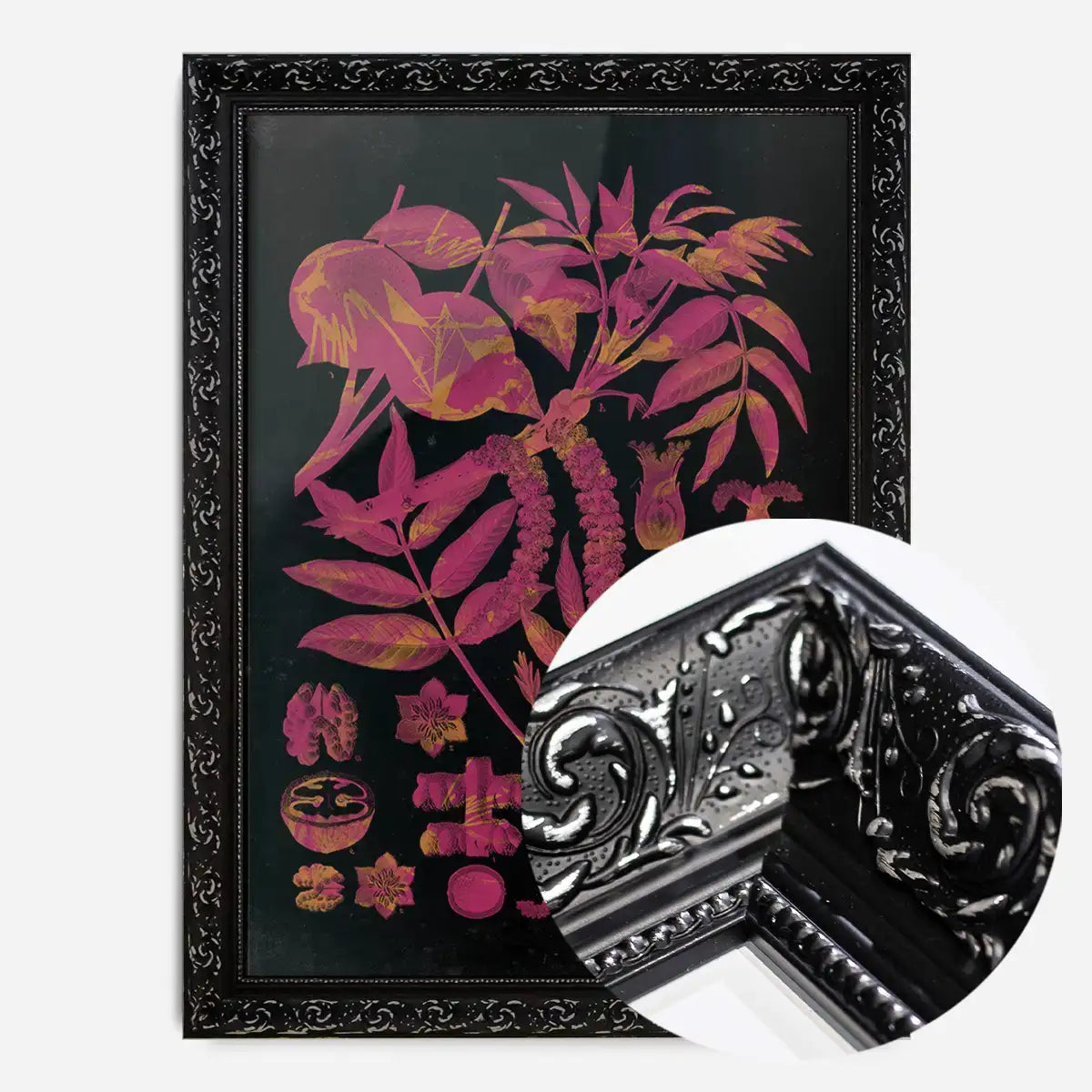 Vintage Walnut Botanical Black Print