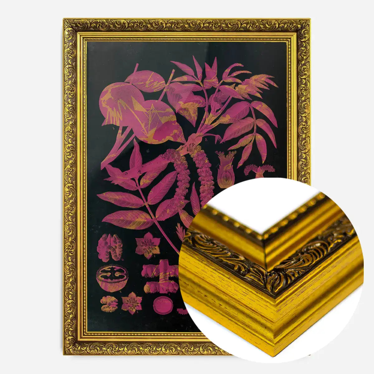 Vintage Walnut Botanical Black Print