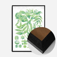 Vintage Walnut Botanical Green Print