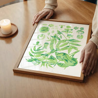 Vintage Walnut Botanical Green Print