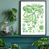 Vintage Walnut Botanical Green Print