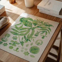 Vintage Walnut Botanical Green Print