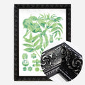 Black Ornate Frame