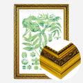 Gold Ornate Frame