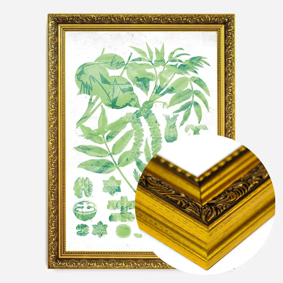 Vintage Walnut Botanical Green Print