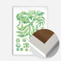 Vintage Walnut Botanical Green Print
