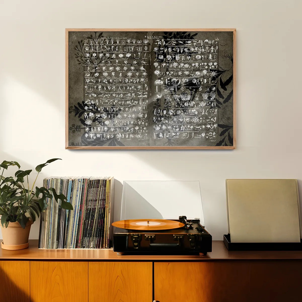 Vintage Botany Chart Dark Print