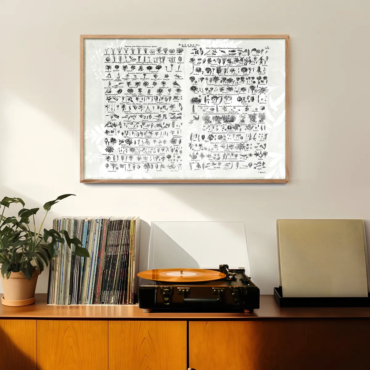 Vintage Botany Chart Light Print