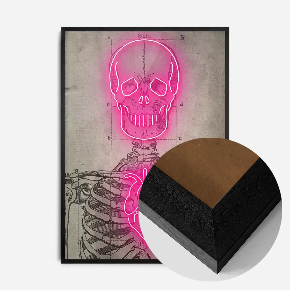 Neon Skeleton Vintage Diagram Print