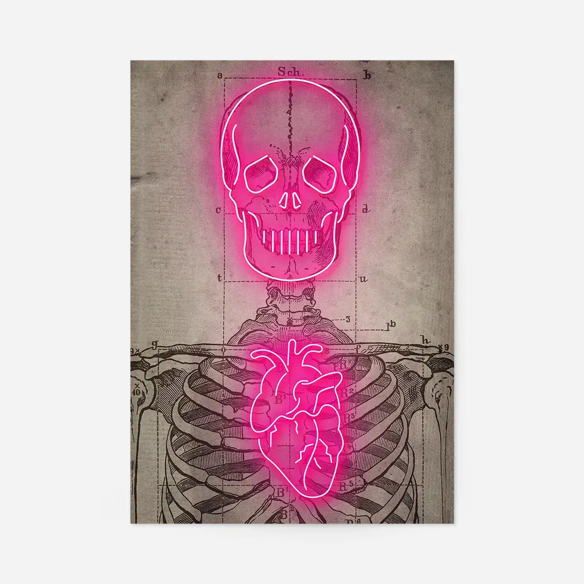 Neon Skeleton Vintage Diagram Print