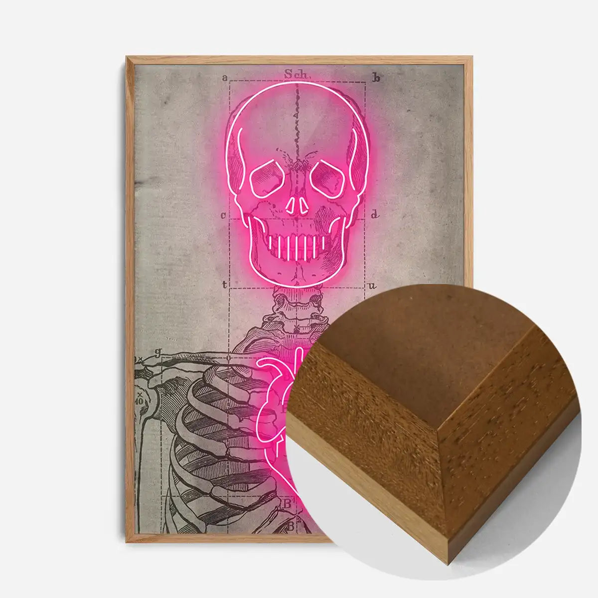Neon Skeleton Vintage Diagram Print