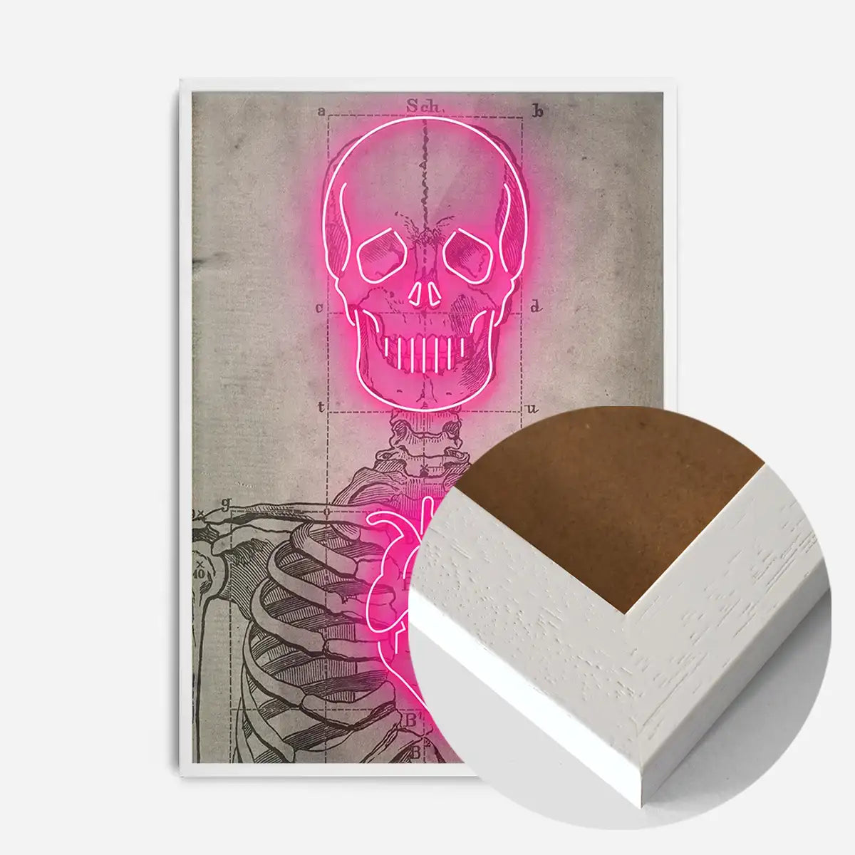 Neon Skeleton Vintage Diagram Print