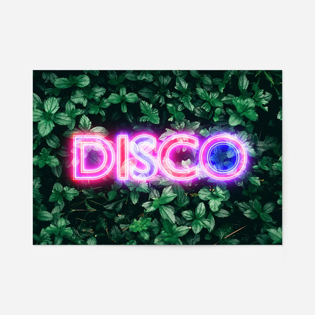 Disco Leaves Retro Sign Neon Print