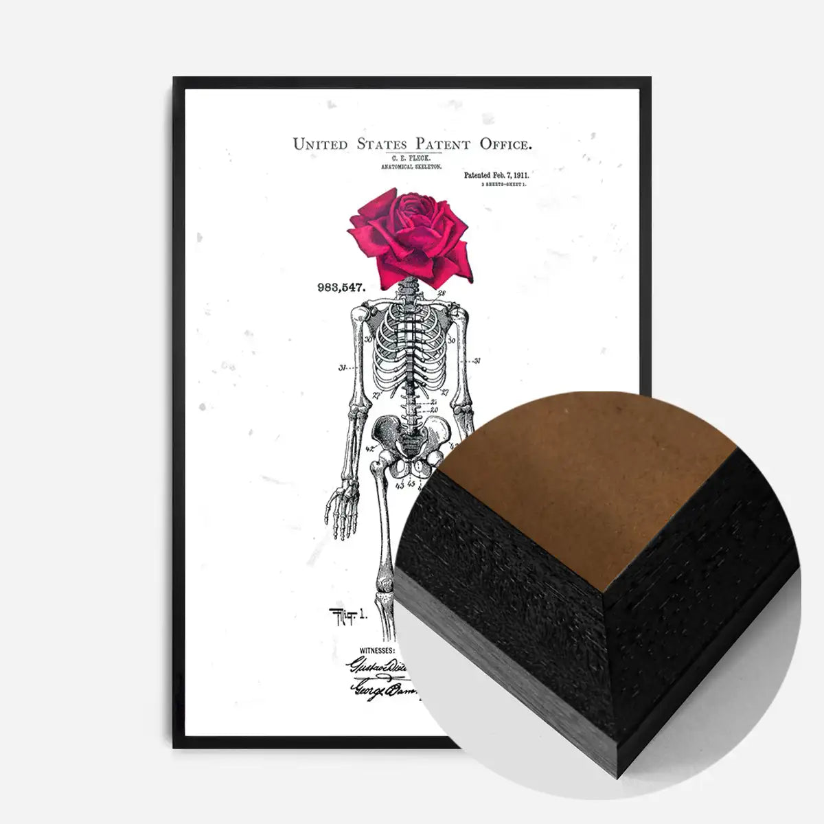 Skeleton Rose Print White