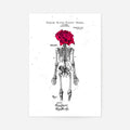 Print Only