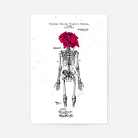 Skeleton Rose Print White