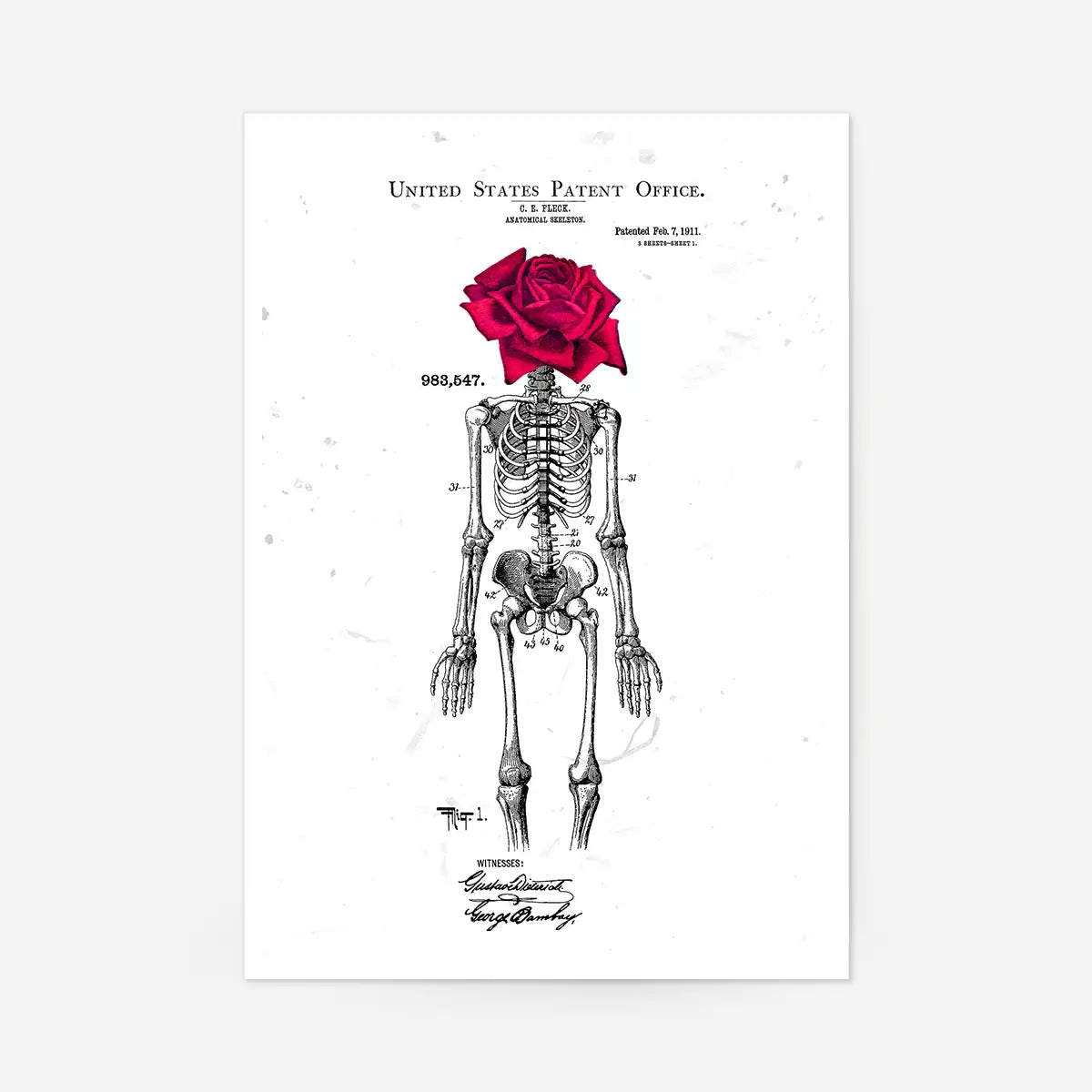 Skeleton Rose Print White