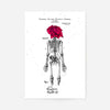 Skeleton Rose Print White