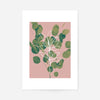 Eucalyptus Minimal Print