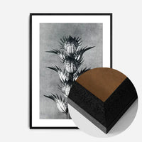 Vintage Botanical Study 2 Black and White Art Print
