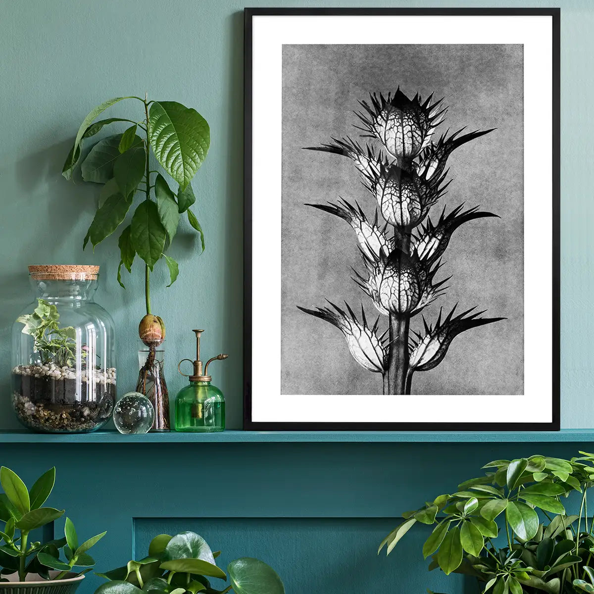 Vintage Botanical Study 2 Black and White Art Print