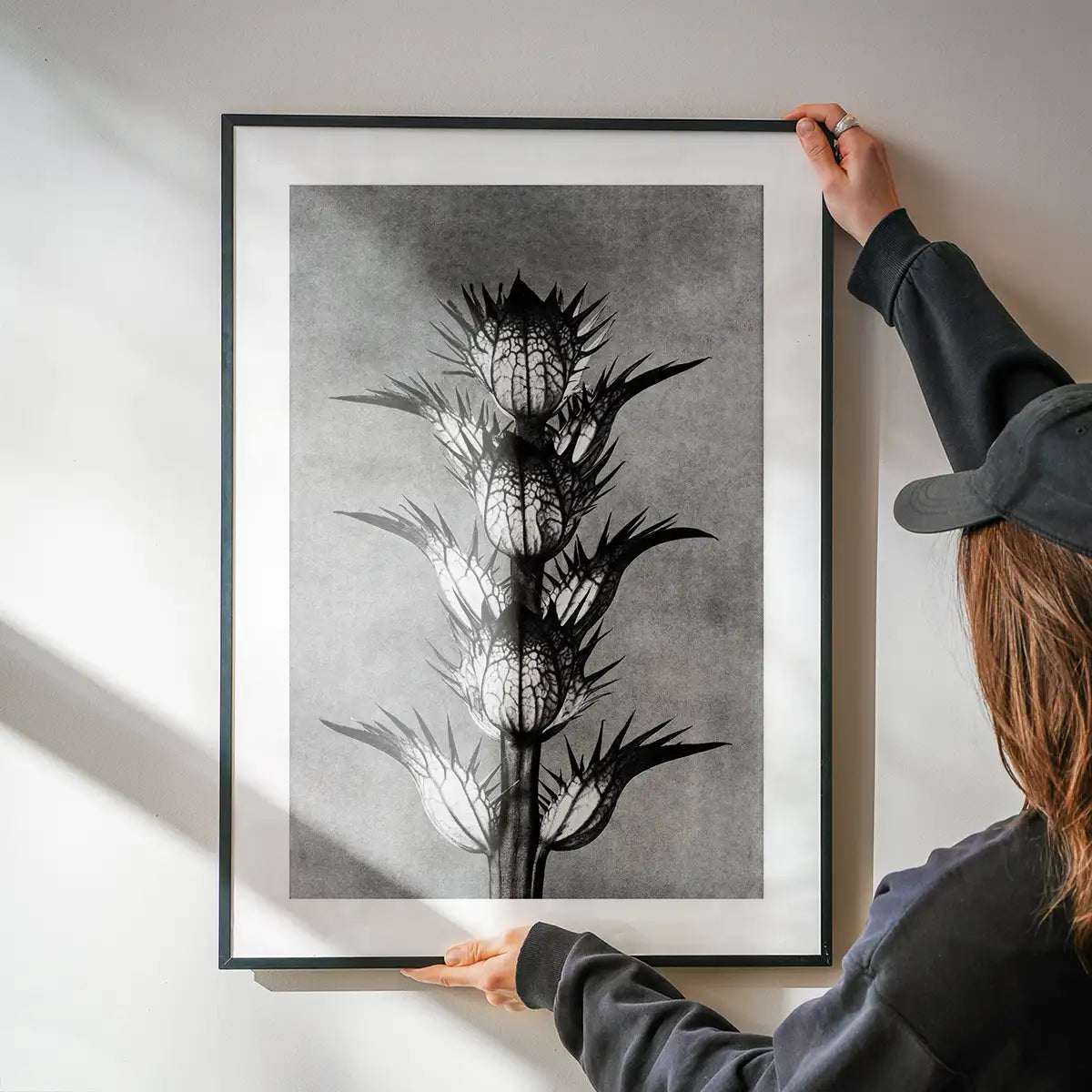 Vintage Botanical Study 2 Black and White Art Print