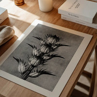 Vintage Botanical Study 2 Black and White Art Print