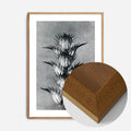 Oak Wood Frame