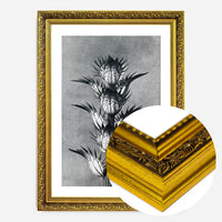 Vintage Botanical Study 2 Black and White Art Print