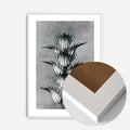 White Wood Frame