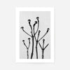 Vintage Botanical Study 3 Black and White Art Print