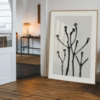 Vintage Botanical Study 3 Black and White Art Print