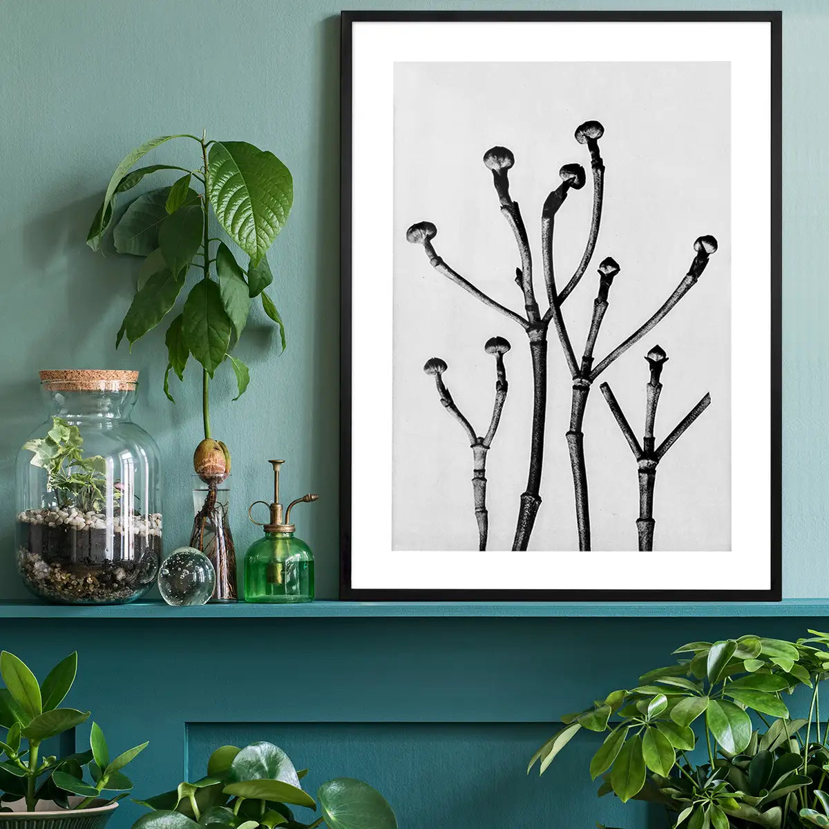 Vintage Botanical Study 3 Black and White Art Print