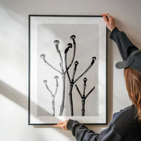 Vintage Botanical Study 3 Black and White Art Print