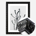 Black Ornate Frame