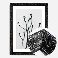 Vintage Botanical Study 3 Black and White Art Print