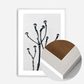 White Wood Frame