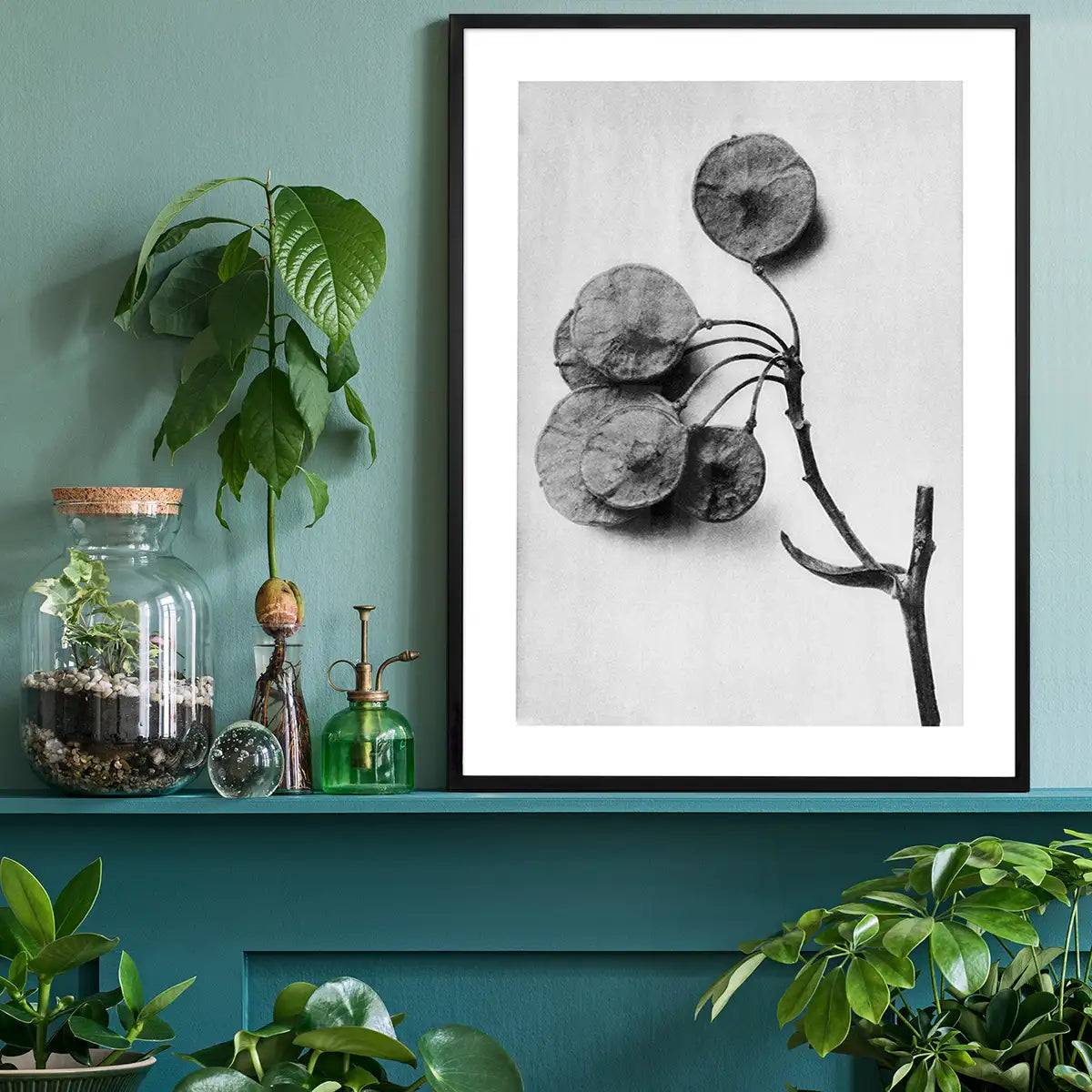 Vintage Botanical Study 4 Black and White Art Print