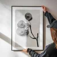 Vintage Botanical Study 4 Black and White Art Print