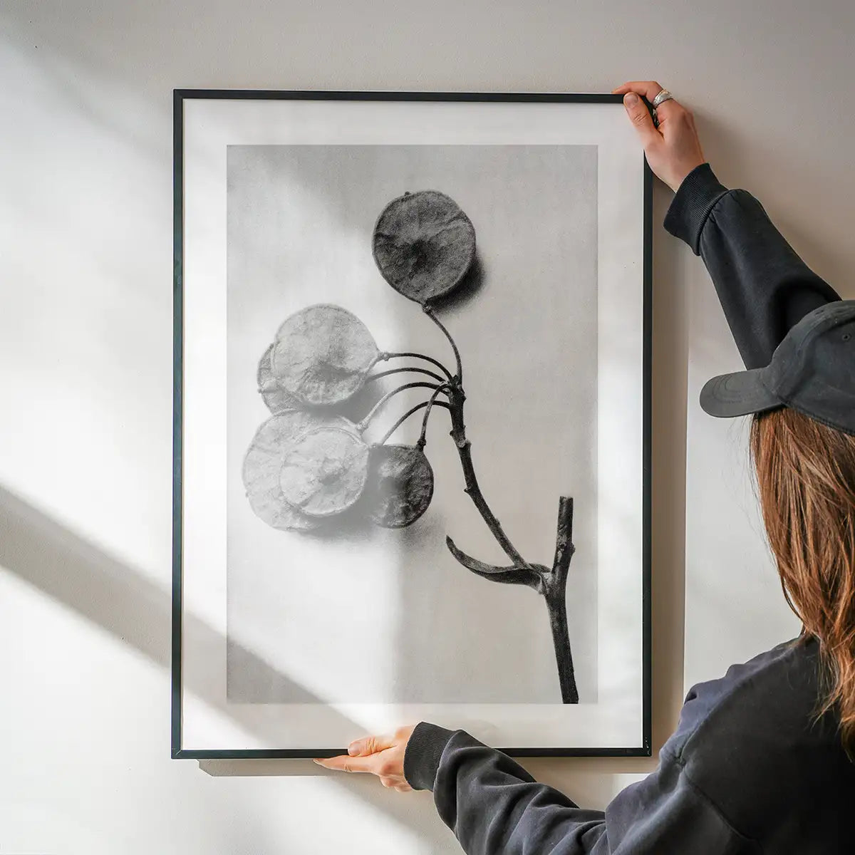 Vintage Botanical Study 4 Black and White Art Print