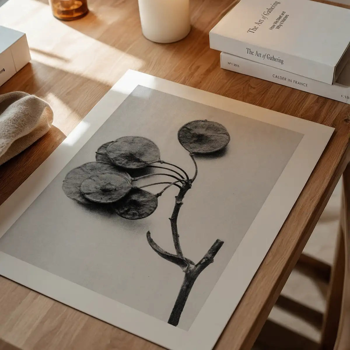 Vintage Botanical Study 4 Black and White Art Print