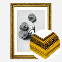 Vintage Botanical Study 4 Black and White Art Print