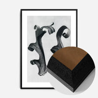 Vintage Botanical Study 5 Black and White Art Print