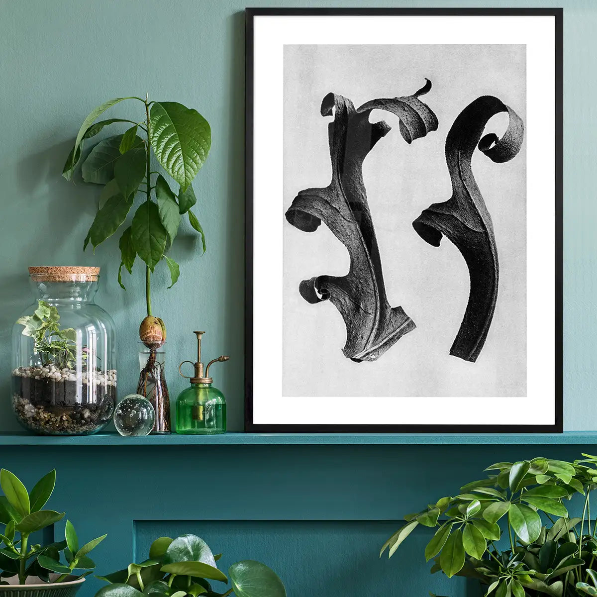 Vintage Botanical Study 5 Black and White Art Print