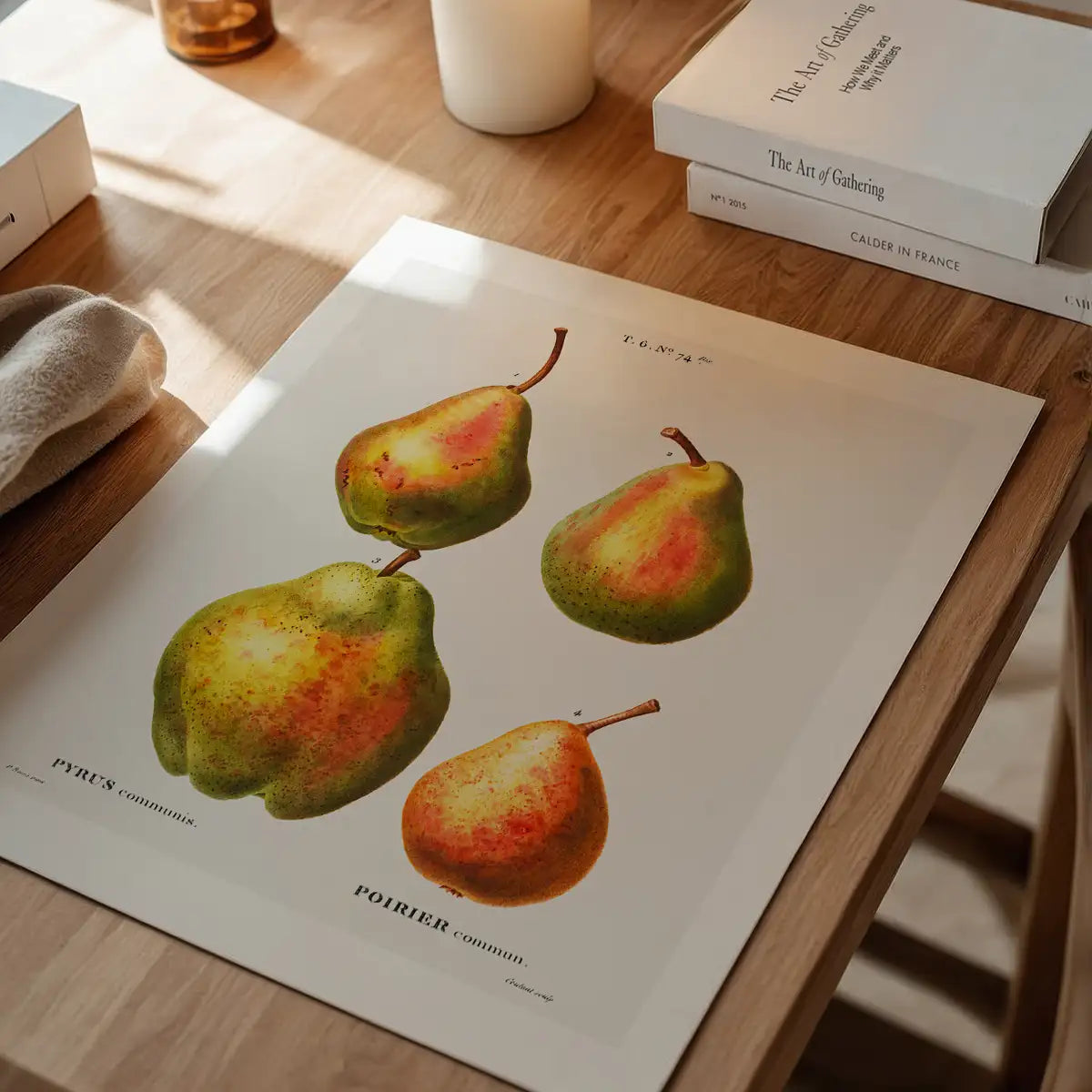 Four Pears Vintage Antique Print