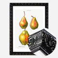 Black Ornate Frame