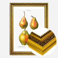 Four Pears Vintage Antique Print