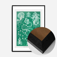Algae Vintage Antique Green Print